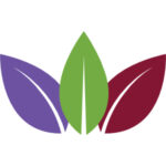 All Saints Lindfield